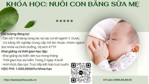 Đào tạo và cấp chứng nhận CME liên tục