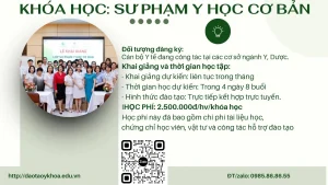 Đào tạo và cấp chứng nhận CME liên tục